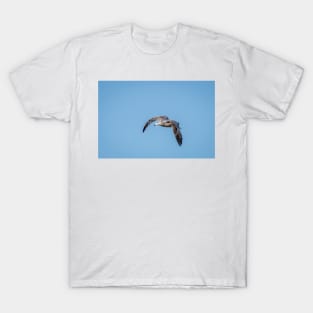 Graceful Flight of a Herring Gull by Debra Martz T-Shirt